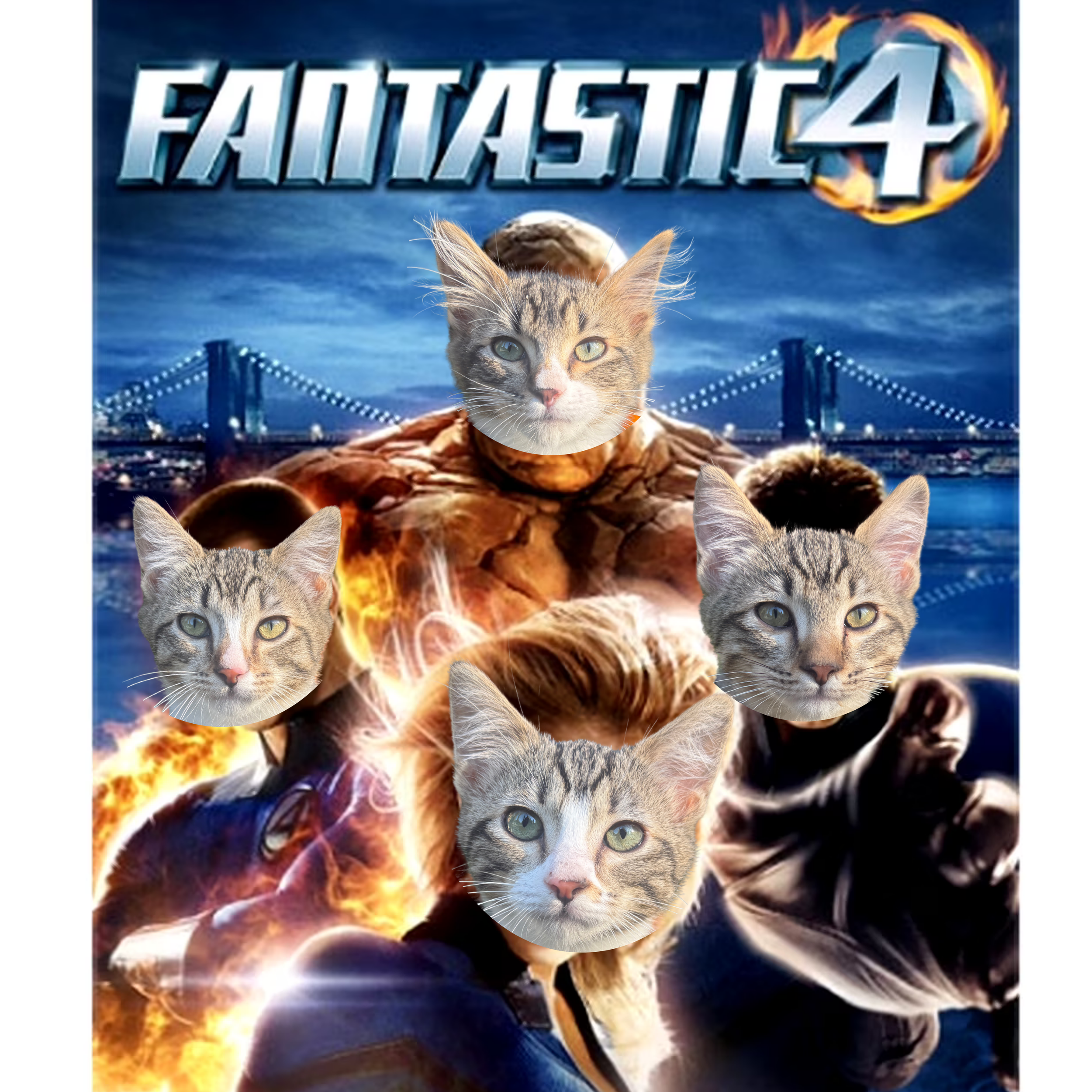Meet the Fantastic Four!