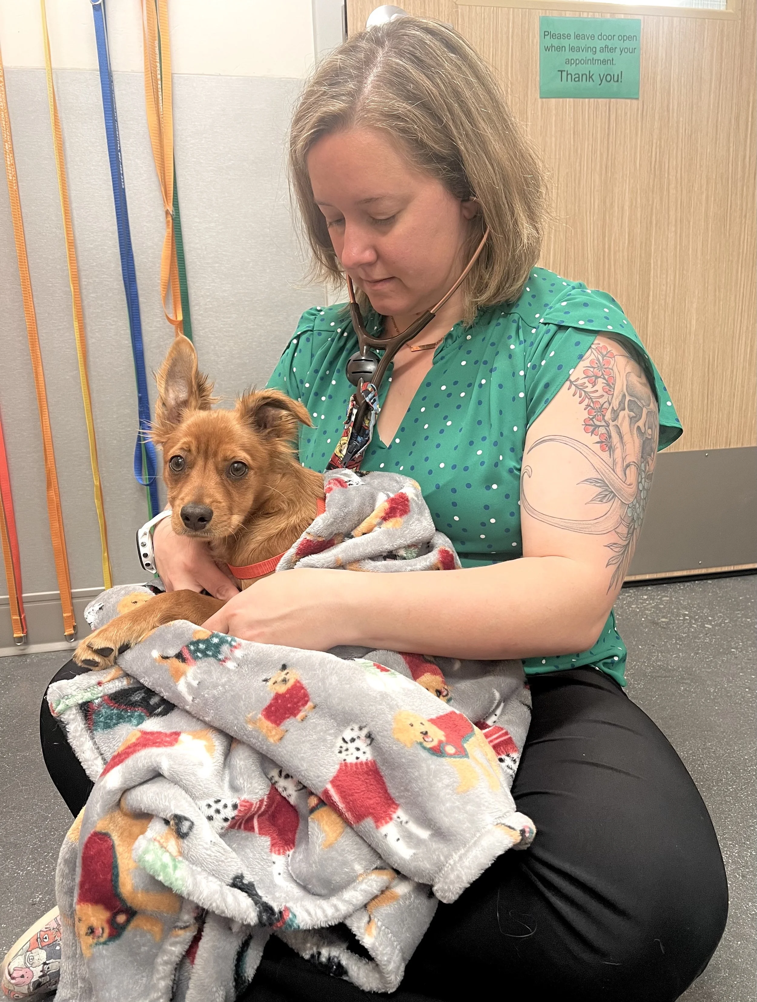 IMG_5805 5.28.11 PM.jpeg