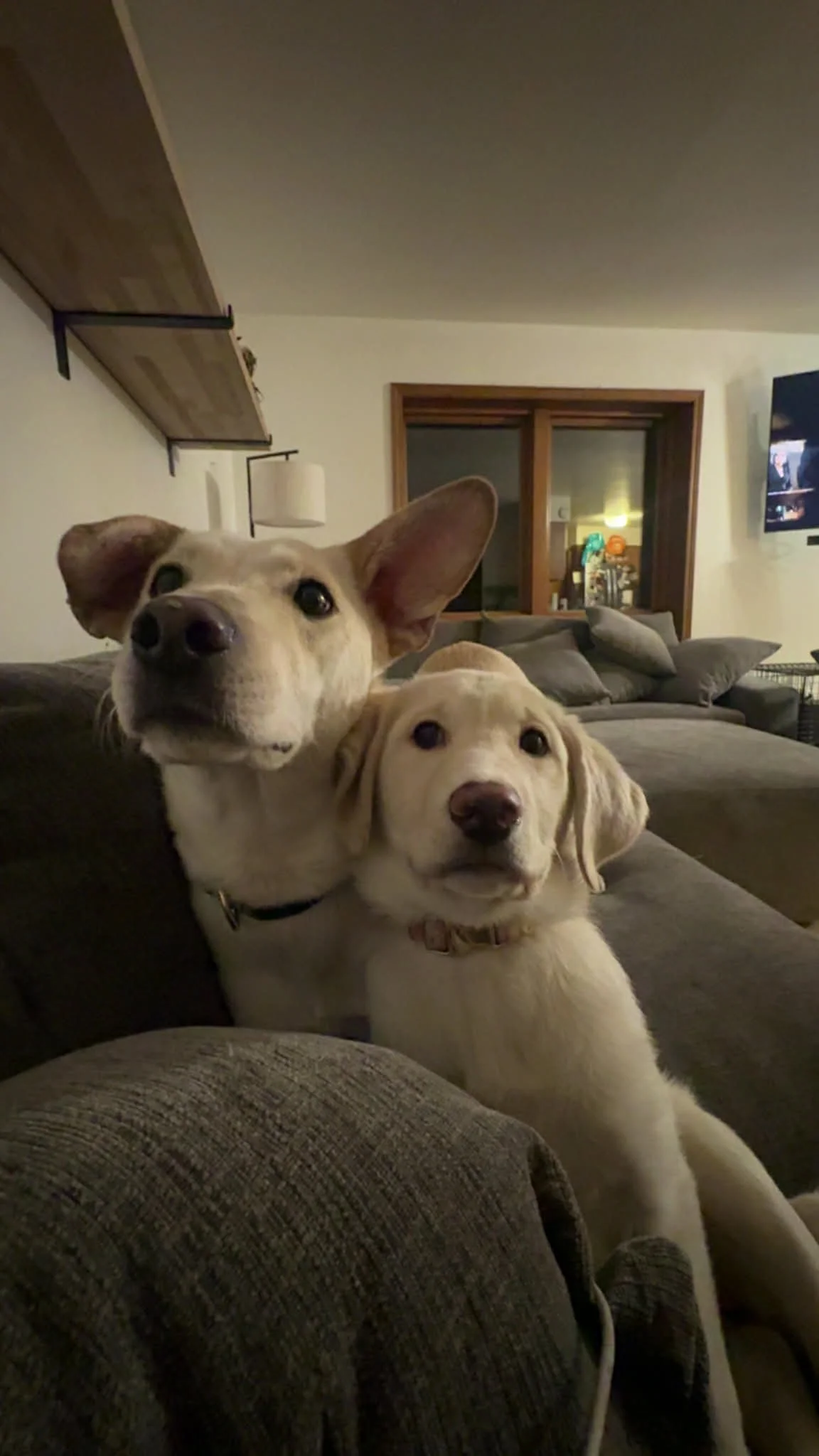 6c0bfb61-5336-4103-a11d-b3f6f0aa2b5a.jfif