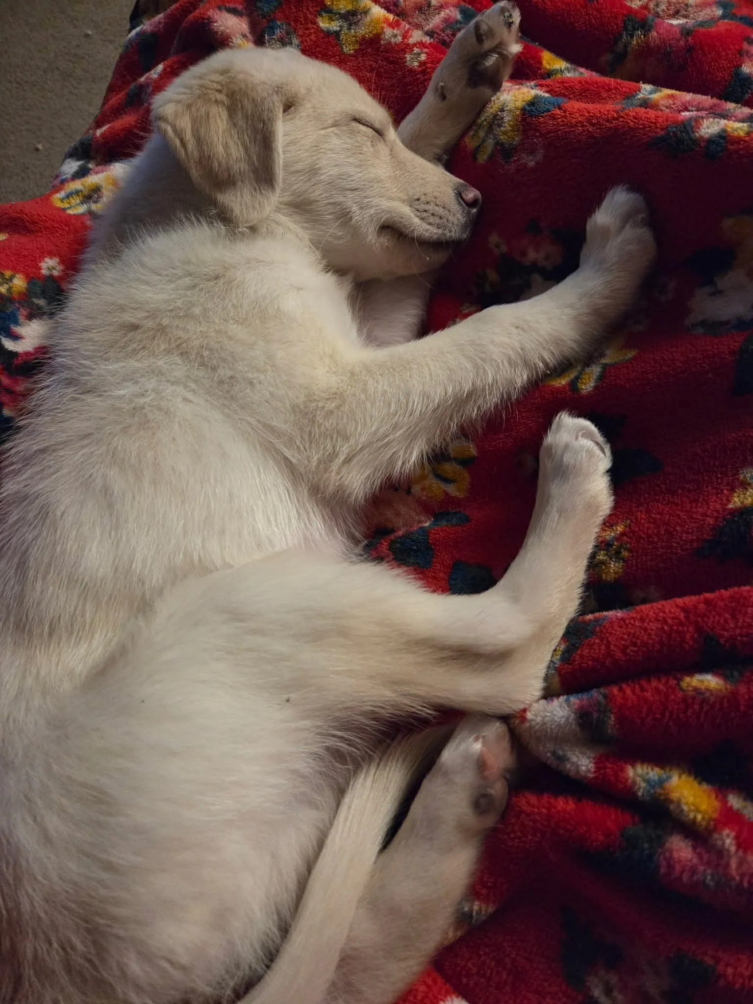 151c0b04-888a-4b06-9c61-38ff8d4811fc.jfif