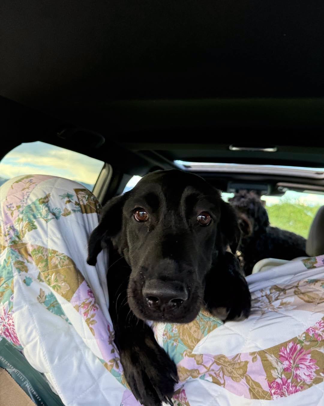 728195761_1567756248374380_8803580198265287942_n.jpeg