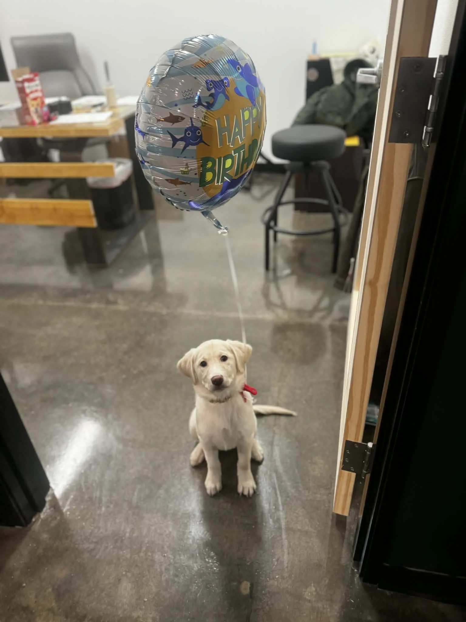 f49434f5-0738-4ea8-9b58-d6c2cc169a43.jfif