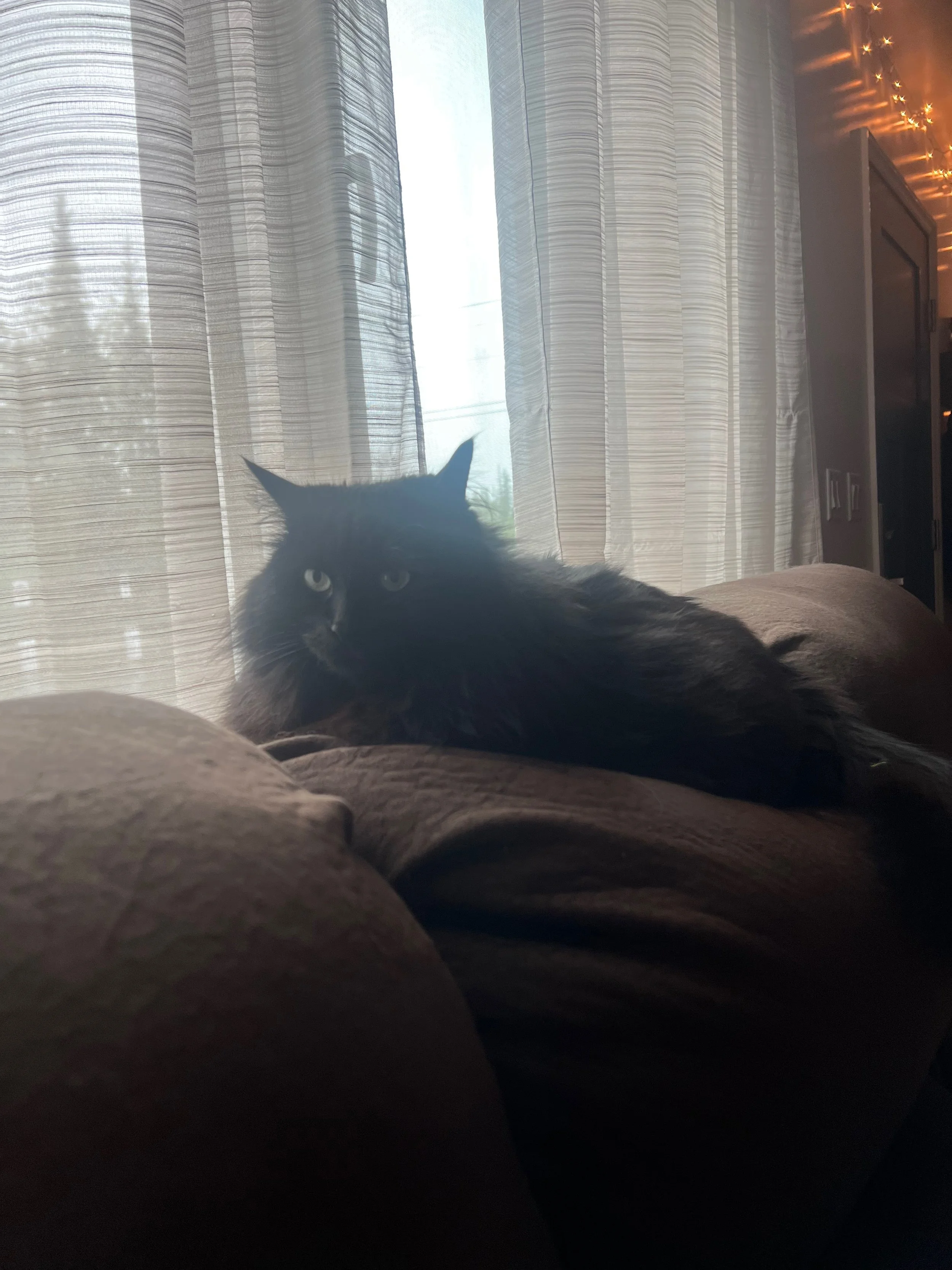 IMG_1071.jpeg