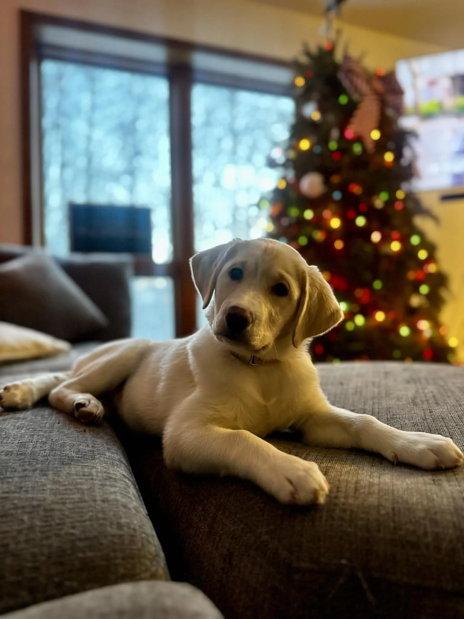 c7da3efb-ac4e-4826-9259-d8e95e6d966f.jfif