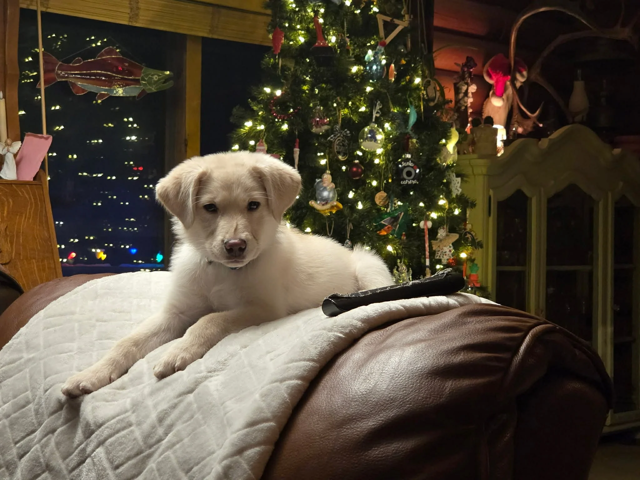 4c28ac10-e361-4a6a-b247-43f52ea809dc.jfif