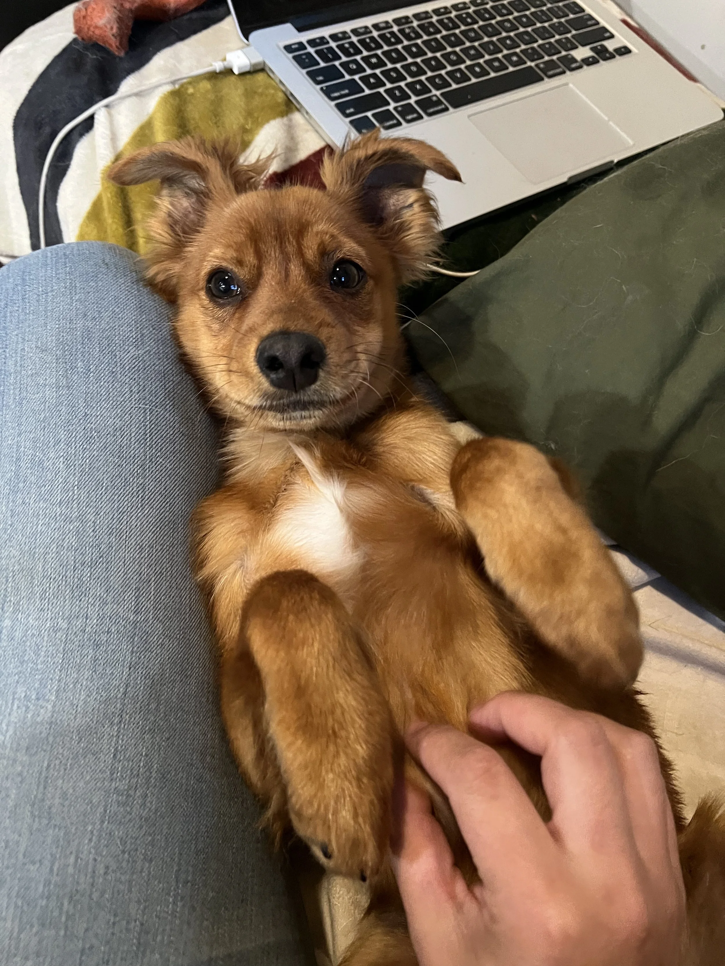 IMG_6756 5.28.14 PM.jpeg