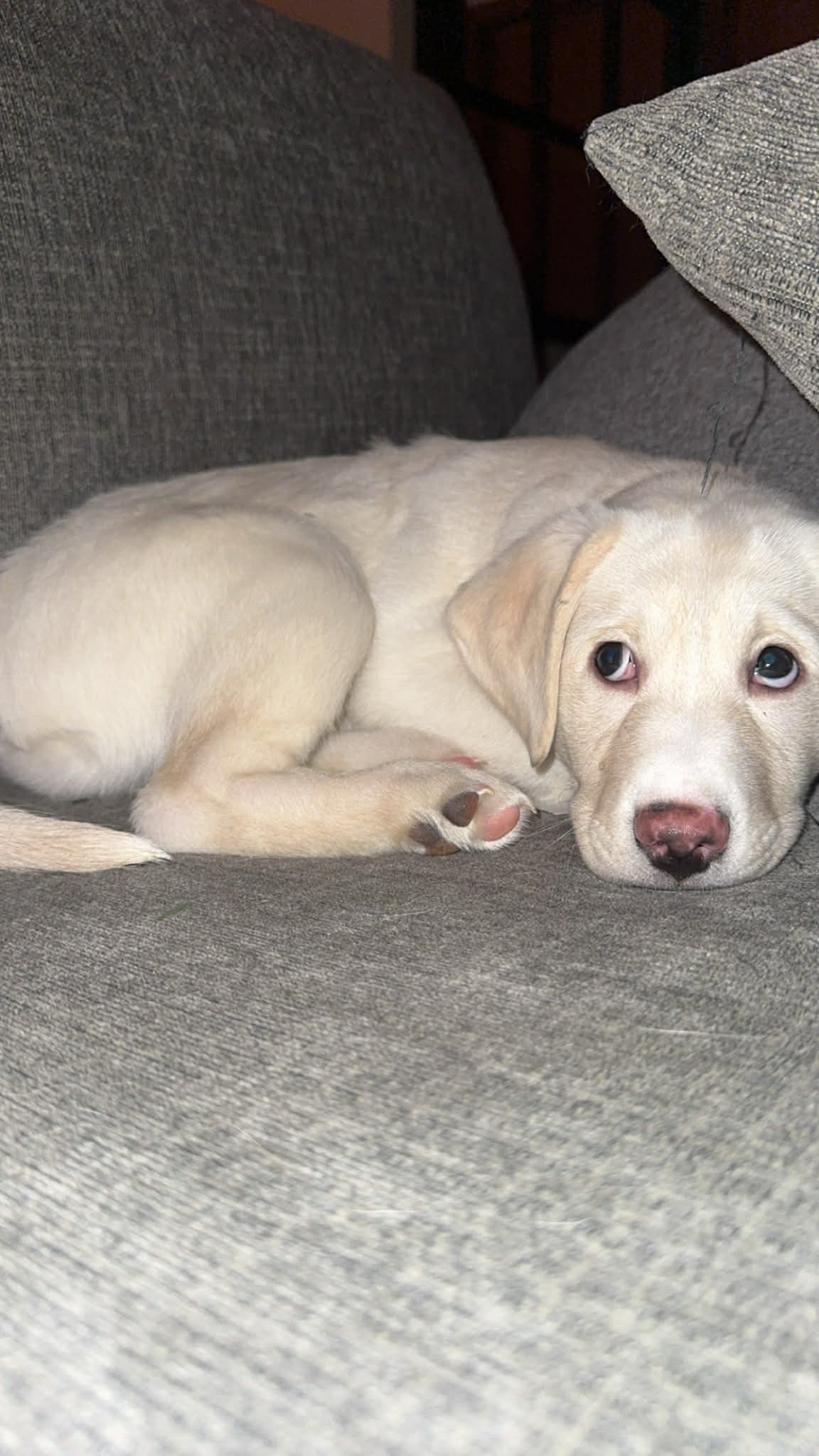 f87ba982-0331-4448-8f61-d6cb4b26e817.jfif