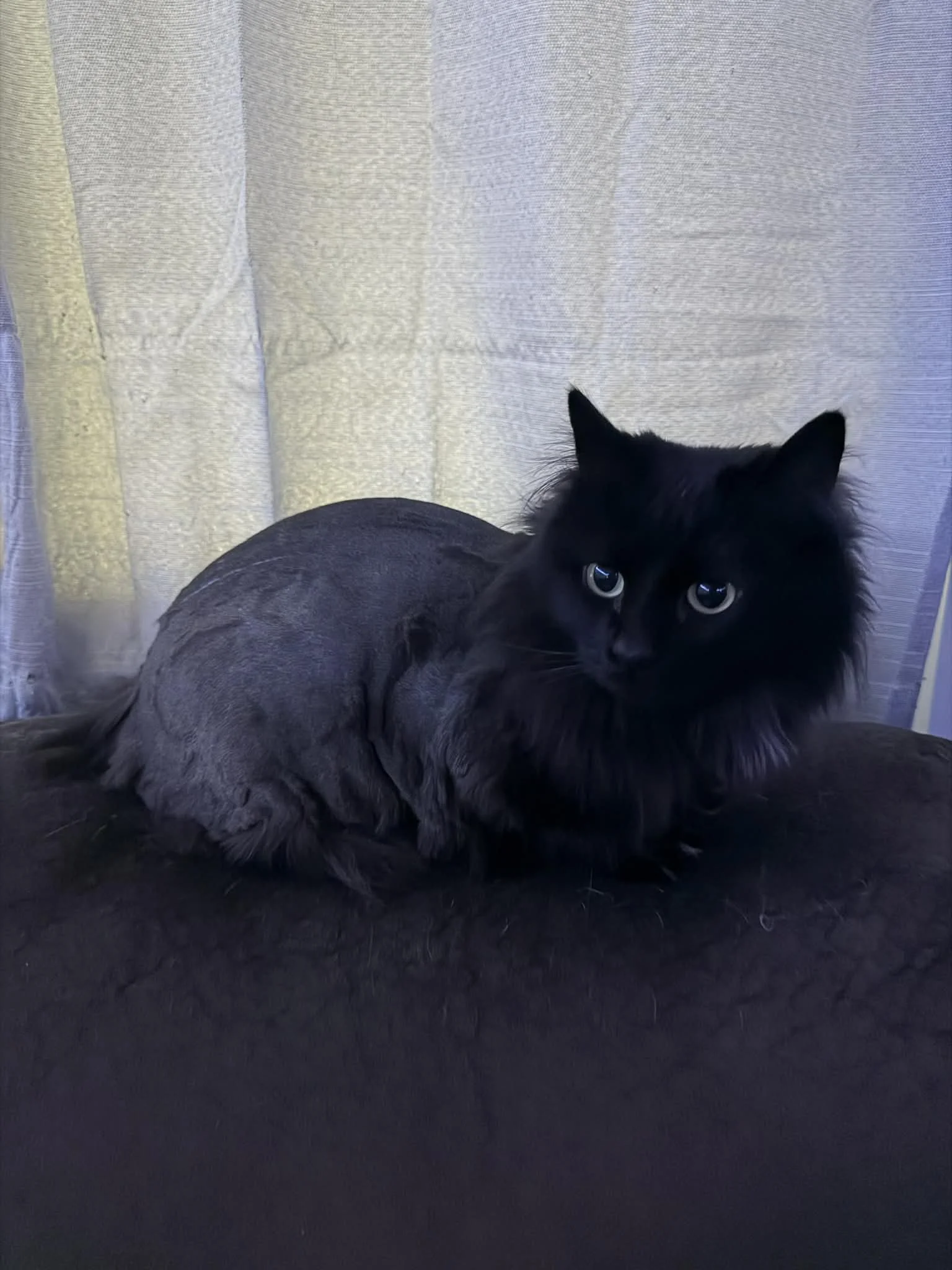 1aeb8748-6908-49d8-9fd3-d394b83ab1bd (1).jpg