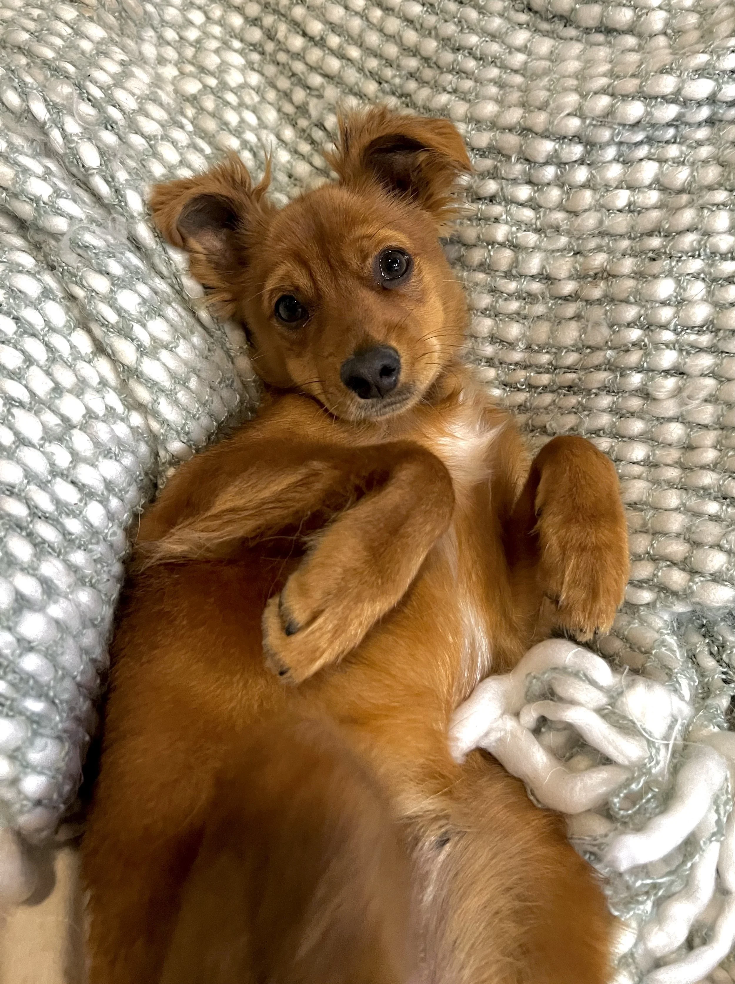 IMG_6744 5.28.13 PM.jpeg