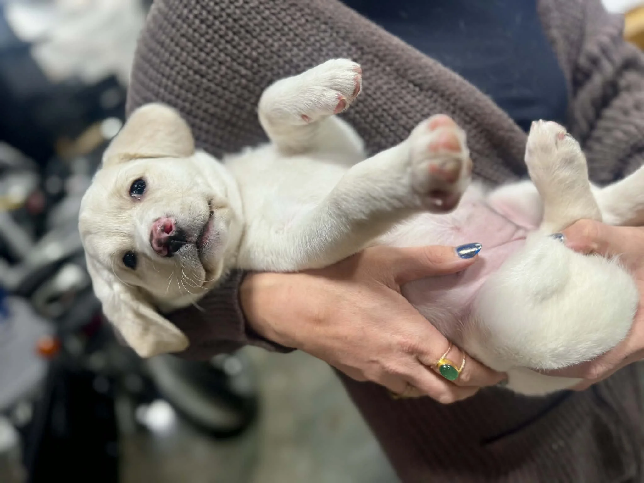 29974f33-cc17-48d9-81f5-ea76d46f5067.jfif