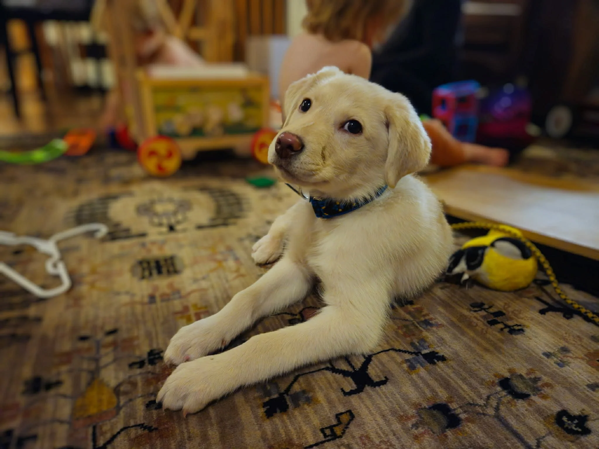 efbf60fa-4077-468d-89c2-53a0958907ab.jfif