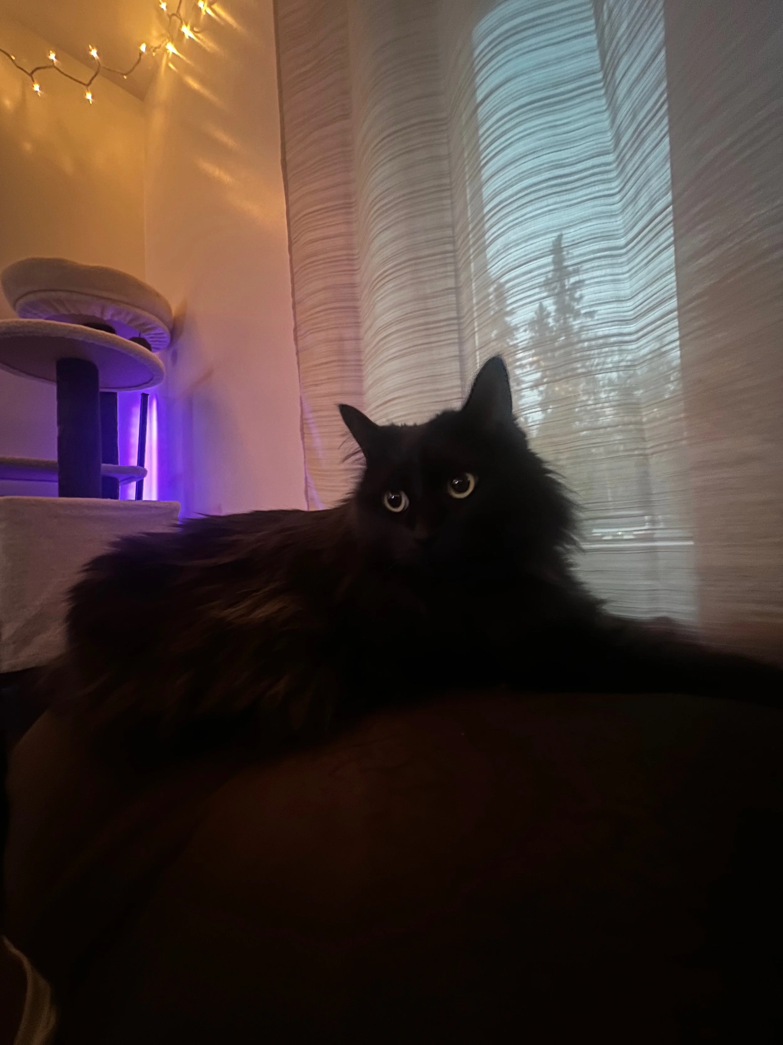 IMG_0924.jpeg