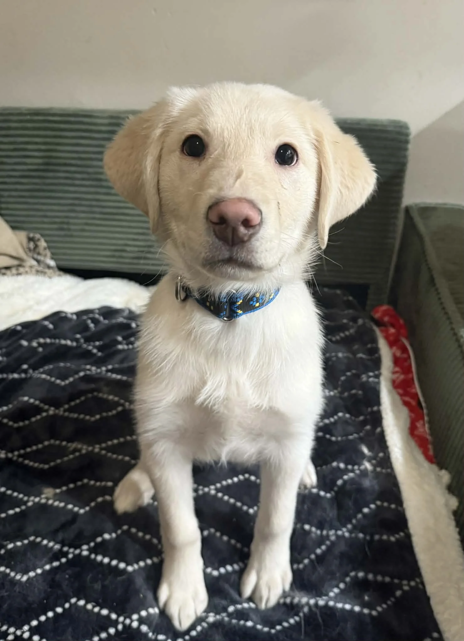 e5e66753-0f81-484d-8d0a-7da36ce9dc9c.jfif