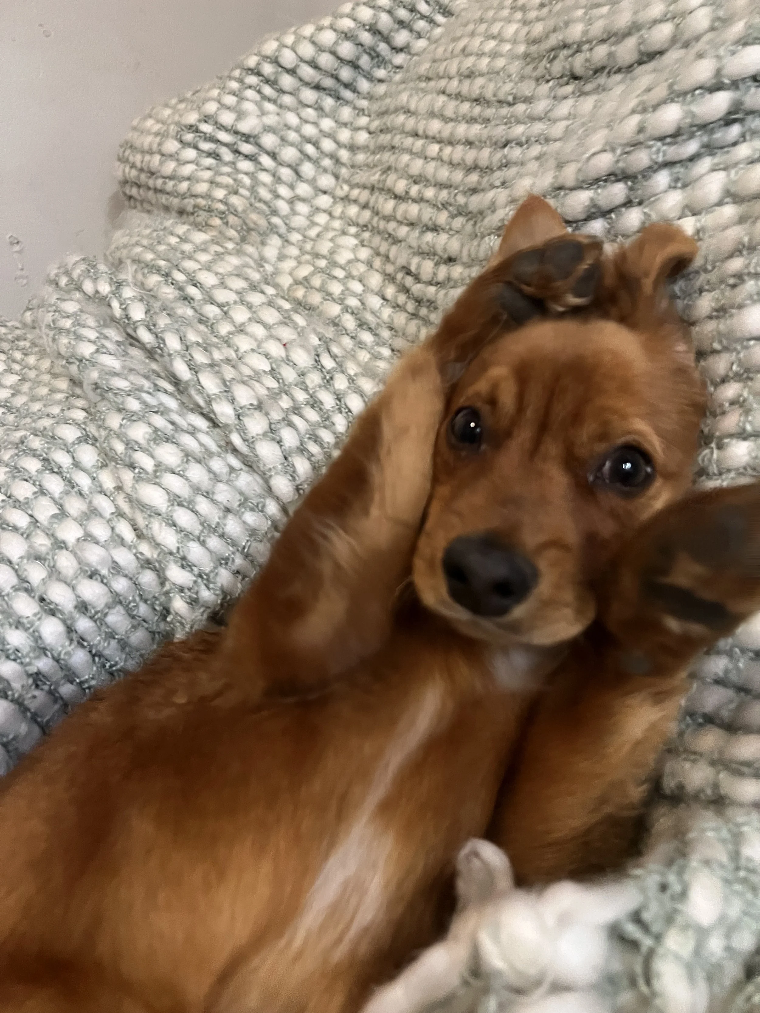 IMG_6752 5.28.13 PM.jpeg