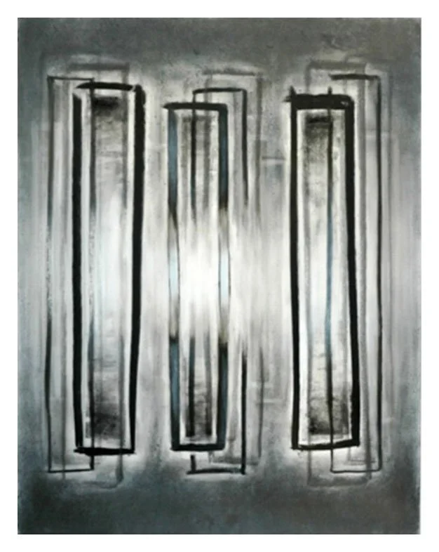 Transparent Life #7, 2009, 33" x 28", graphite, charcoal, and pastel on vellum and paper