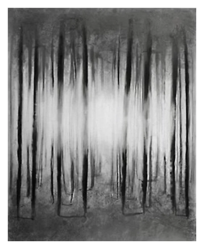 Transparent Life #6, 2007, 33" x 27.5", graphite, charcoal, and pastel on vellum 