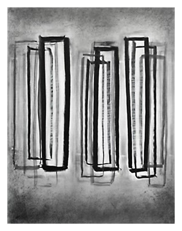 Transparent Life #11, 2007, 33" x 28", graphite, charcoal, and pastel on vellum 