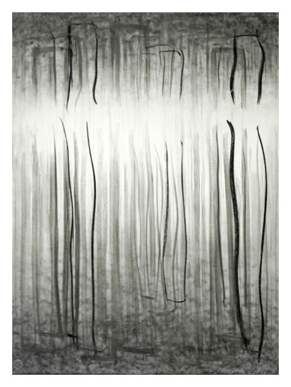 Untitled Black and White, 2009, 29" x 21.5", graphite and charcoal on paper
