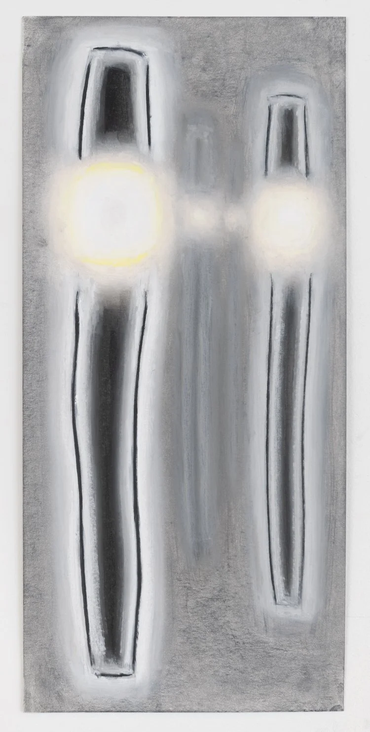 GM9763, 2020-21, charcoal, graphite, pastel on paper