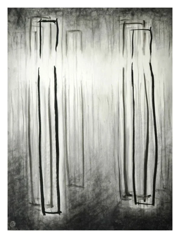 Forward Light Black and White, 2009, 29" x 21.5", graphite and charcoal on paper