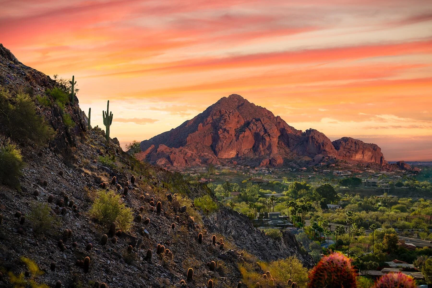 A desert landscape during sunset featuring a mountain with rocky slopes, cacti on a hillside to the left, and a suburban area with trees and houses in the foreground under a colorful sky with pink and orange clouds.
