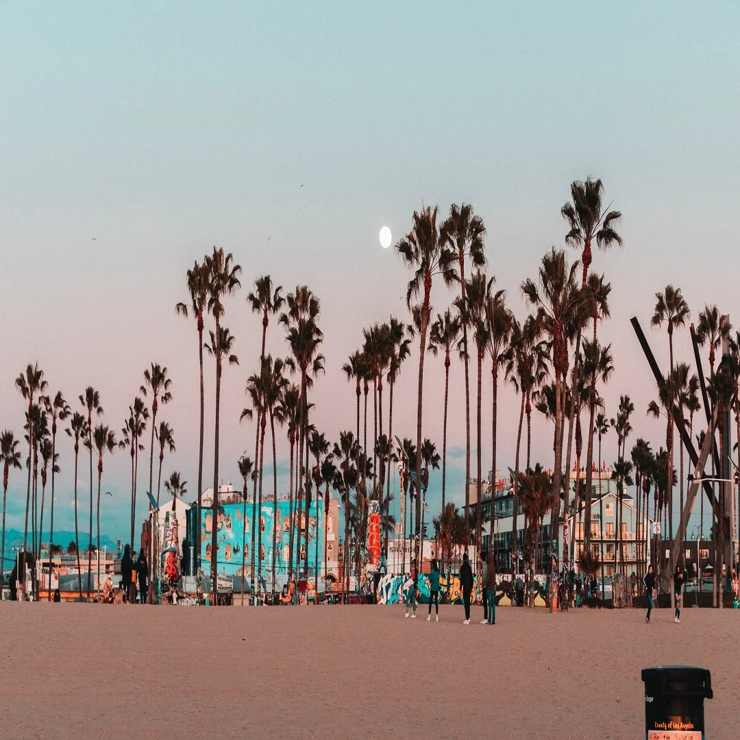 Sunset at a beach with tall palm trees, a moon in the sky, and people walking along the sandy shore.