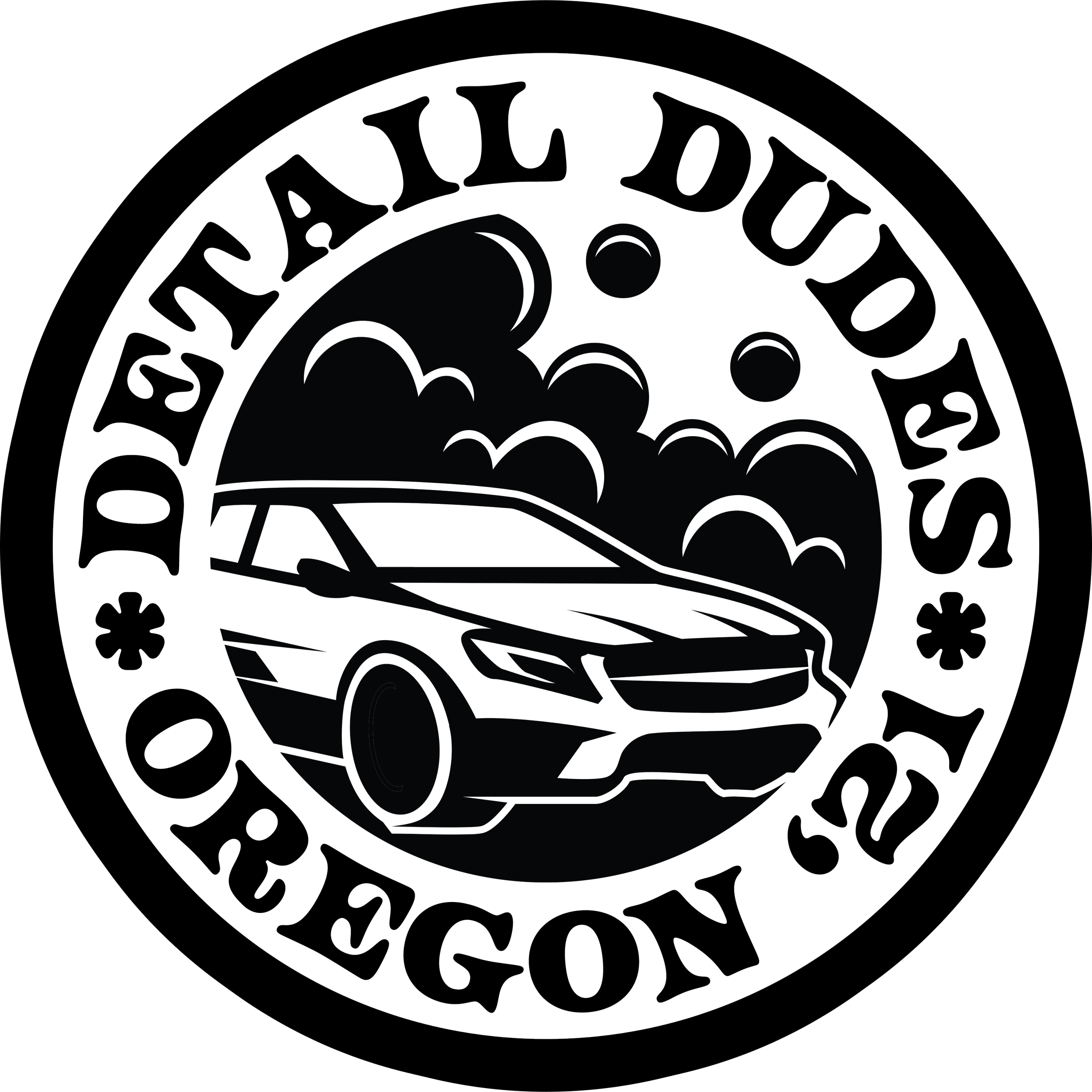 Detail Dudes Mobile Auto Detailing logo - Oregon