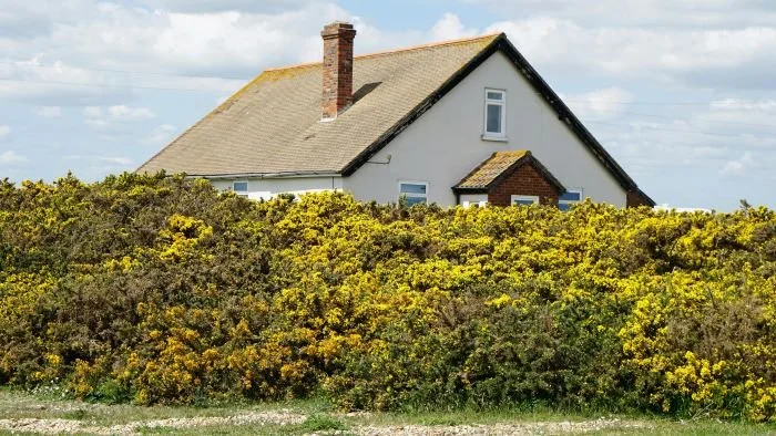 Spring Cleaning for Your Chimney: Importance of Regular Maintenance