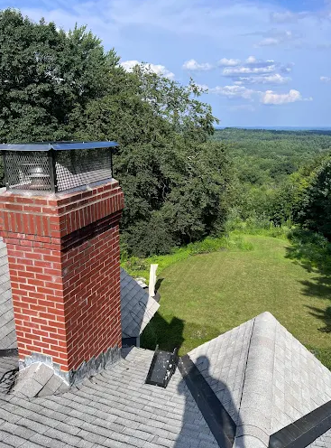 View of a house roof with a brick chimney, lush green trees, and a scenic sky in the background.