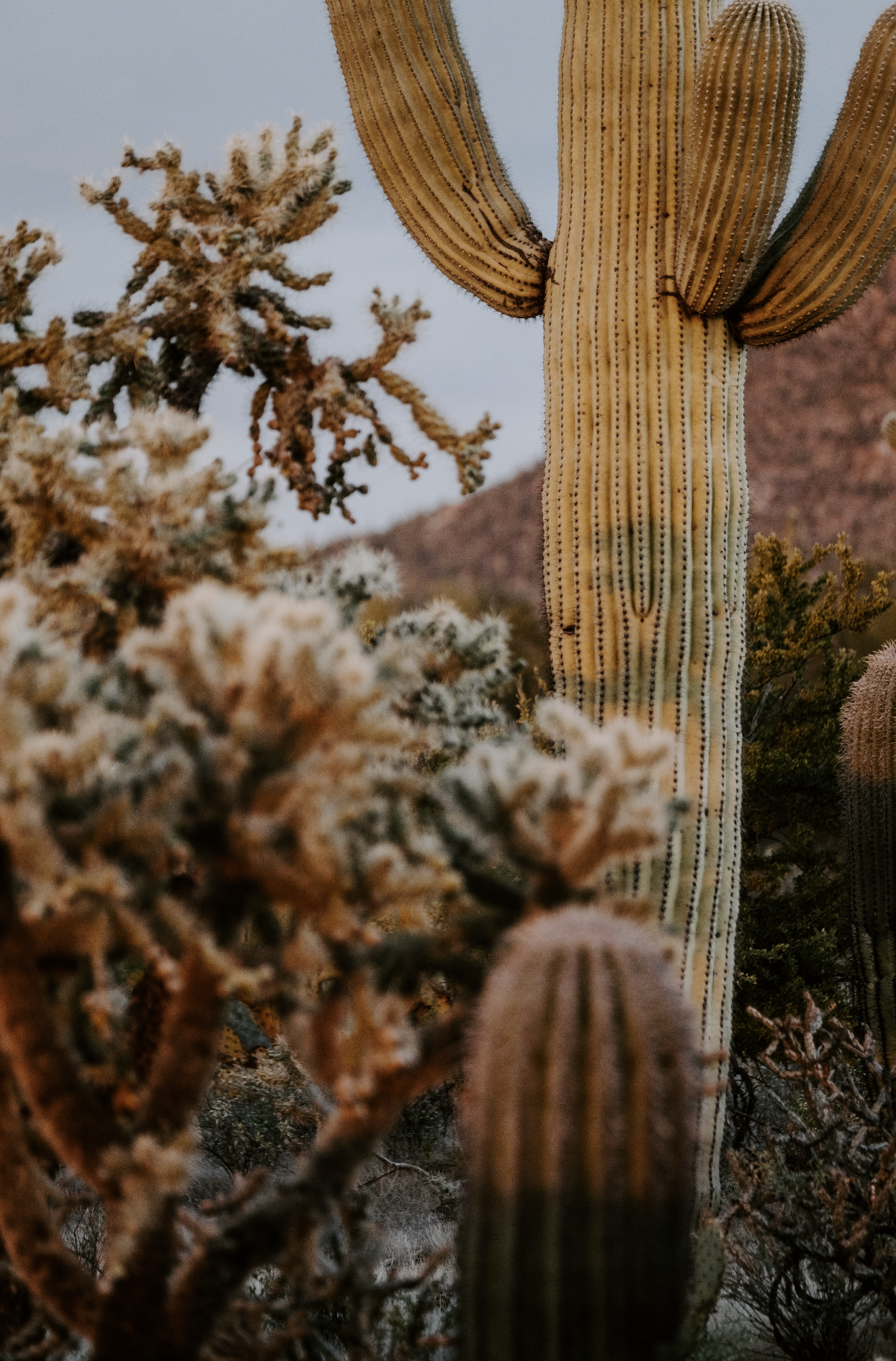 Screenshot 2026-02-25 at 9.53.39 AM.png