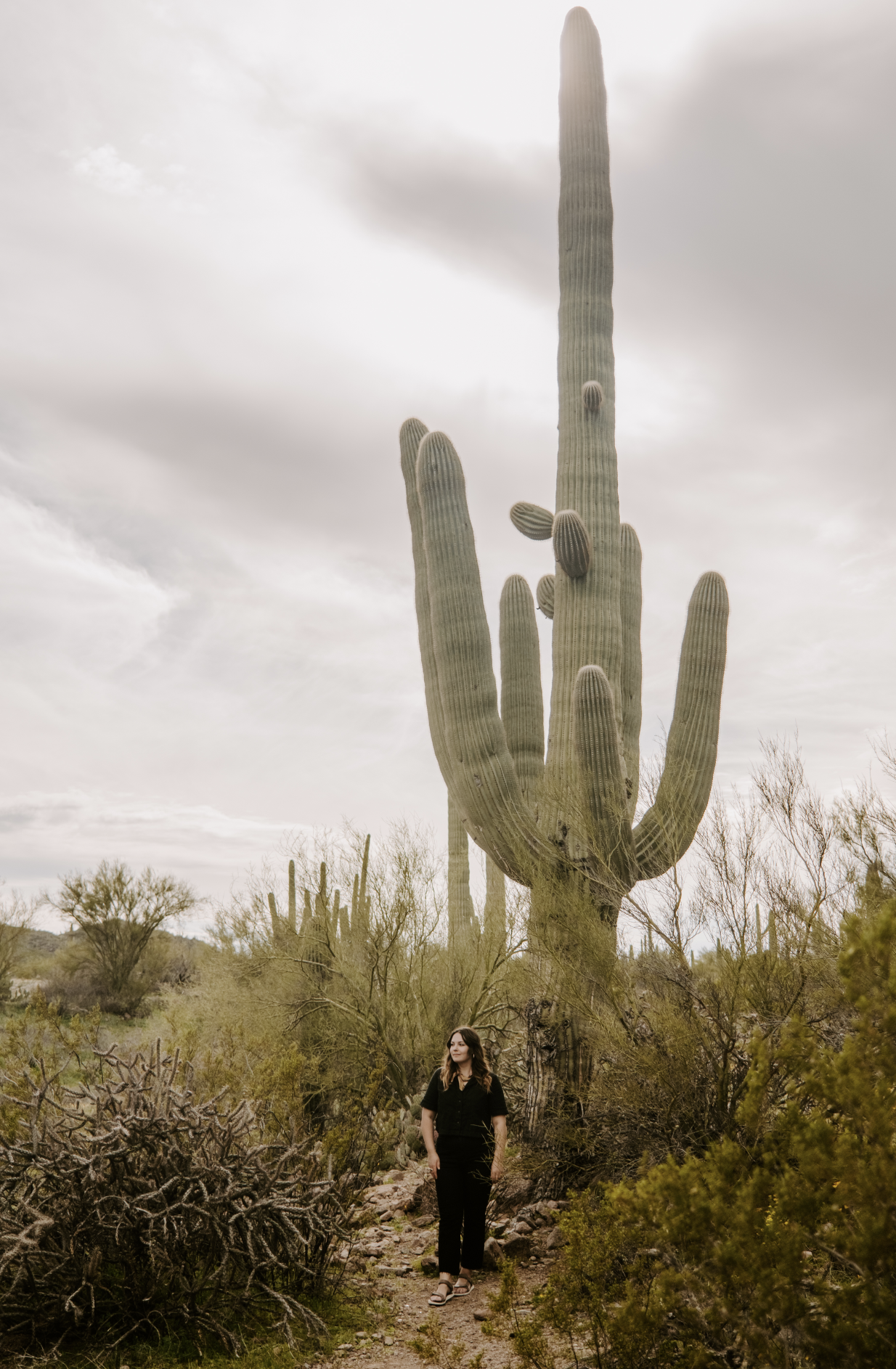 Screen Shot 2023-04-22 at 11.01.01 PM.png