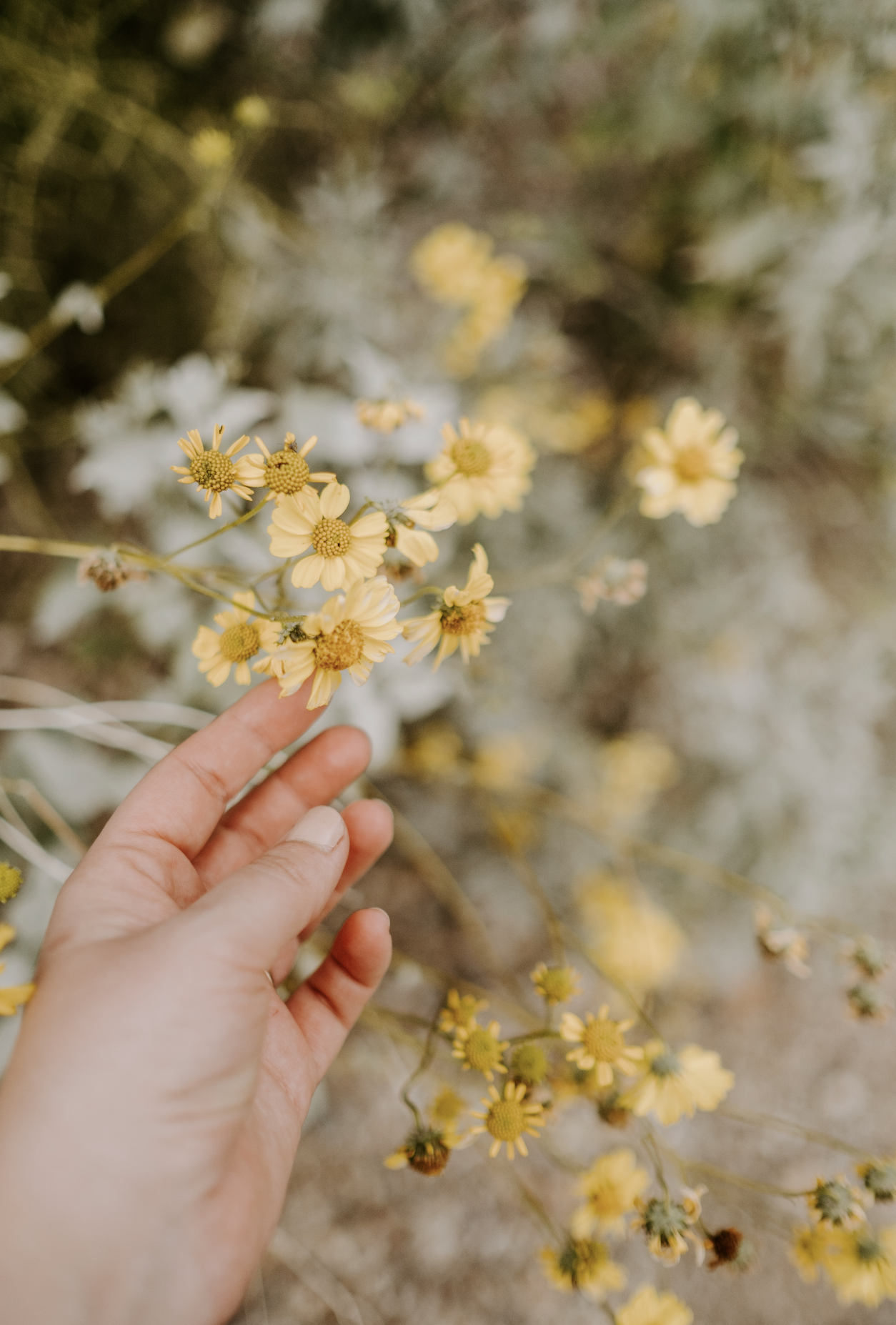 Screenshot 2026-02-25 at 9.57.43 AM.png