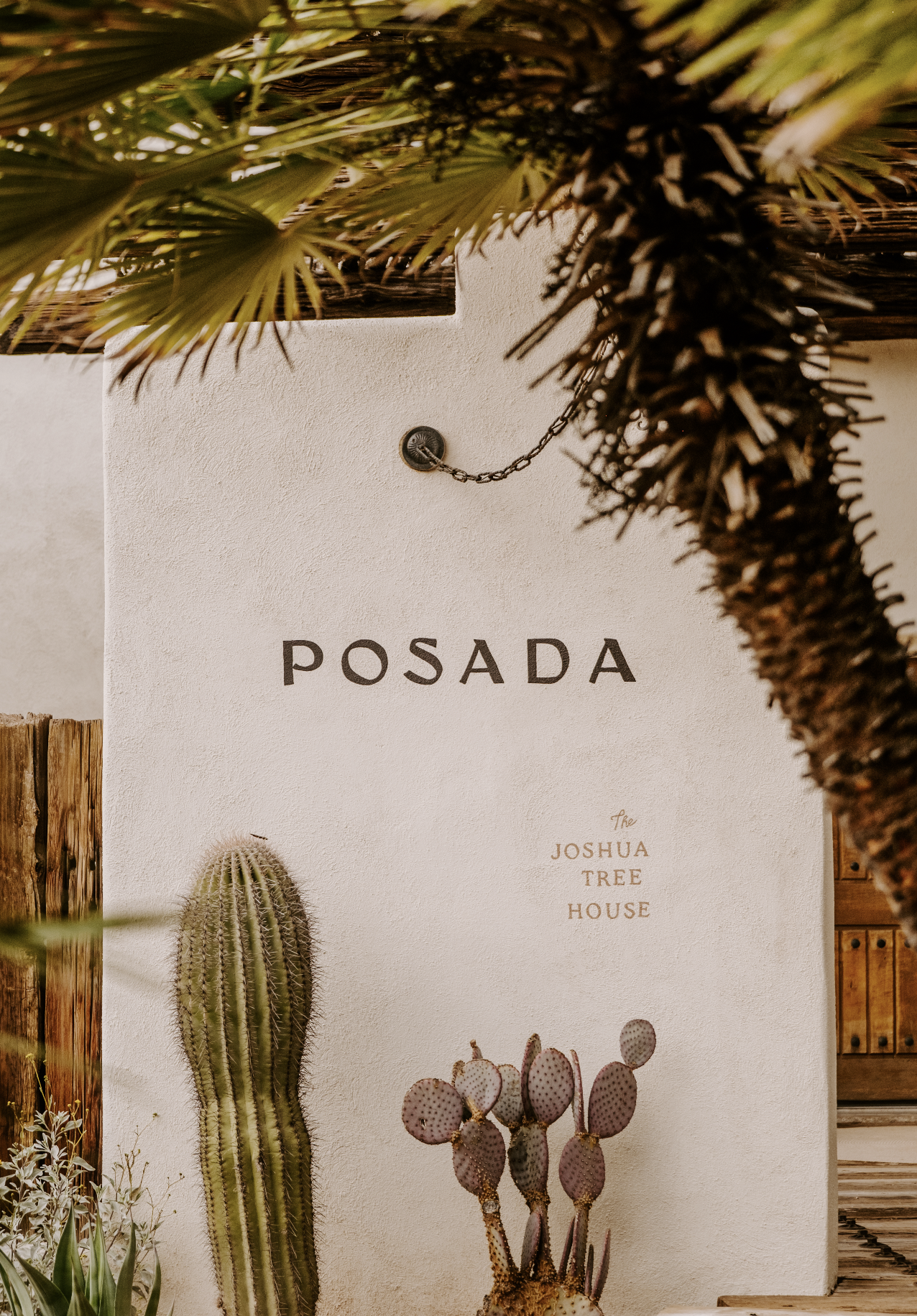 Screenshot 2026-02-25 at 10.01.10 AM.png