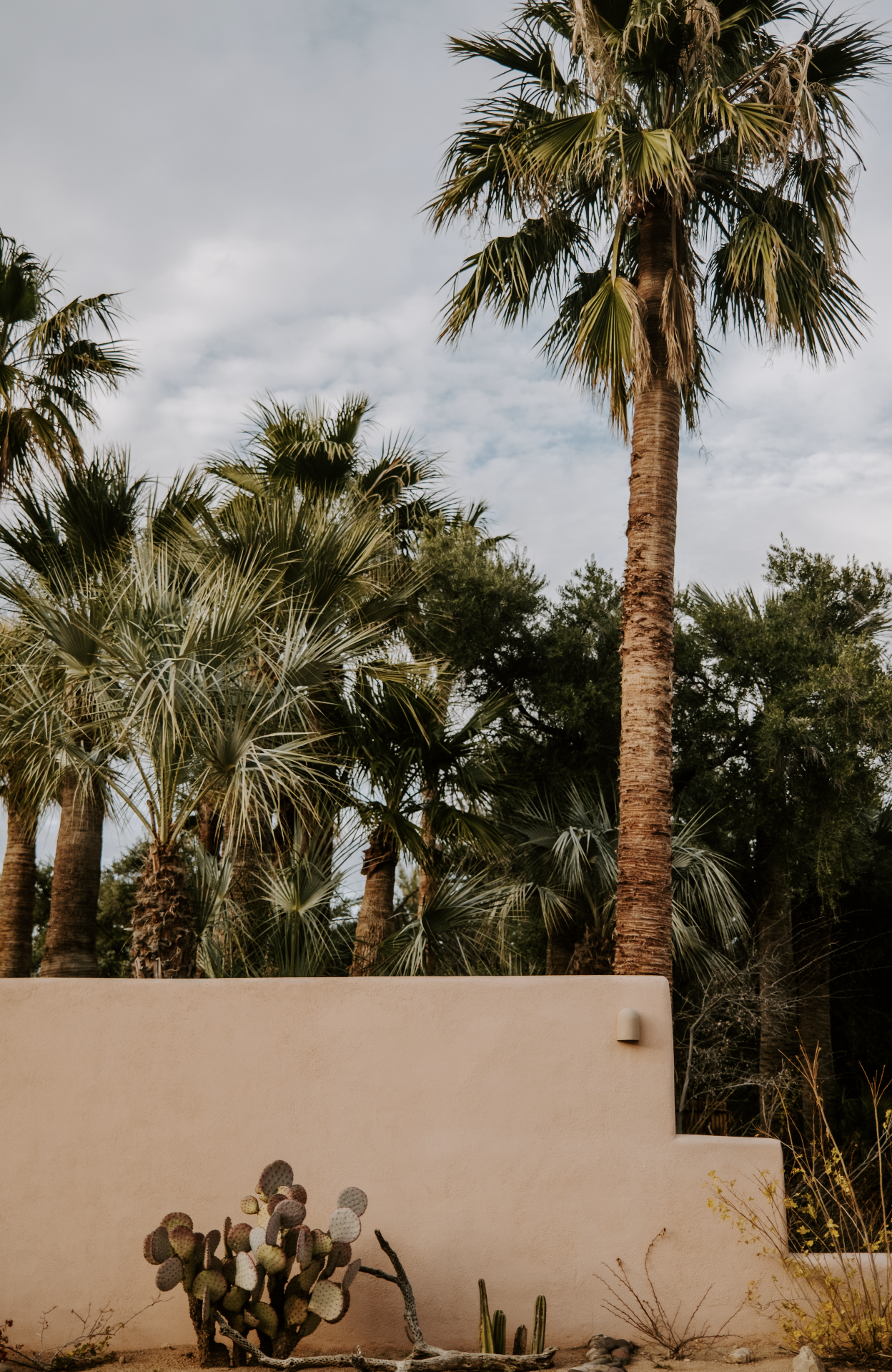 Screenshot 2026-02-25 at 10.11.10 AM.png