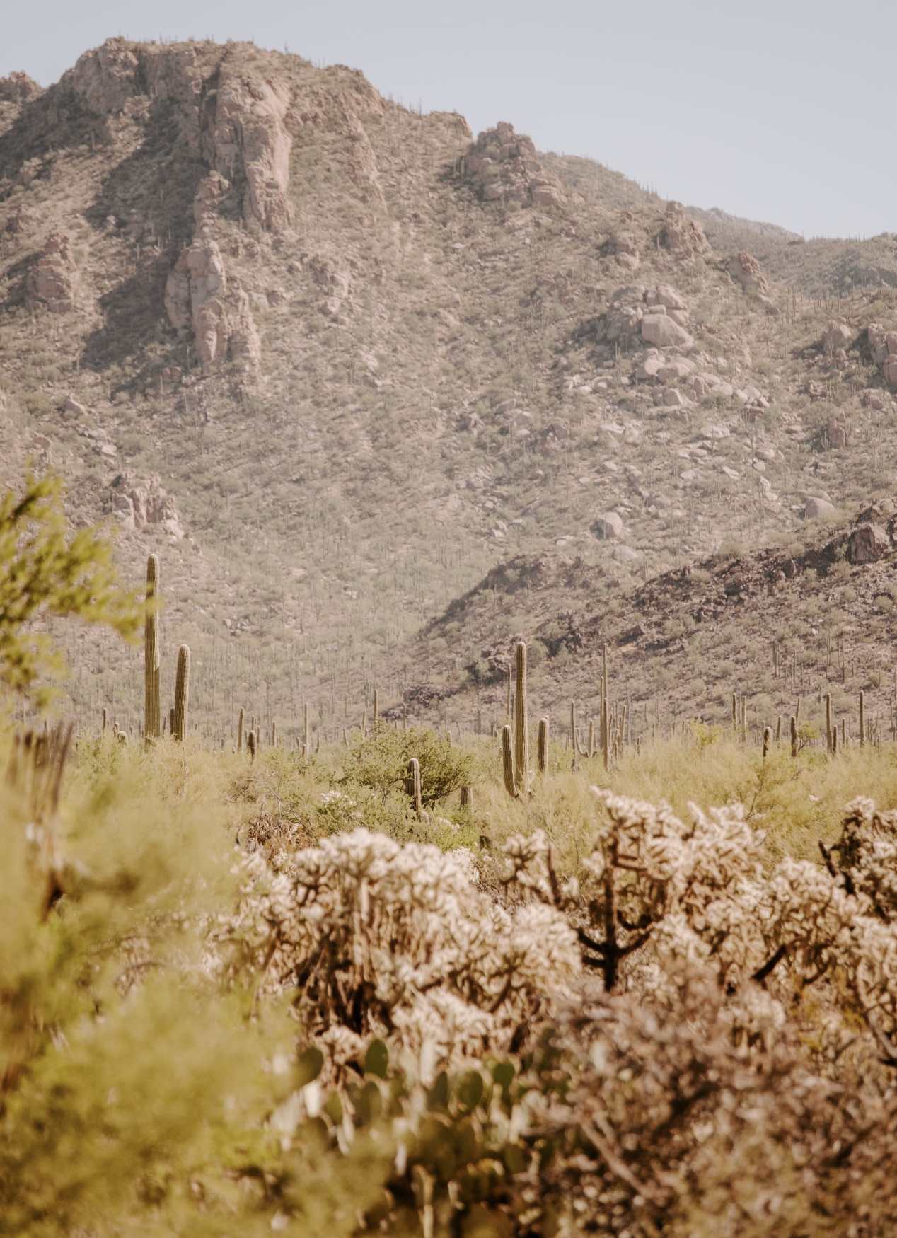 Screenshot 2026-02-25 at 10.48.32 AM.png