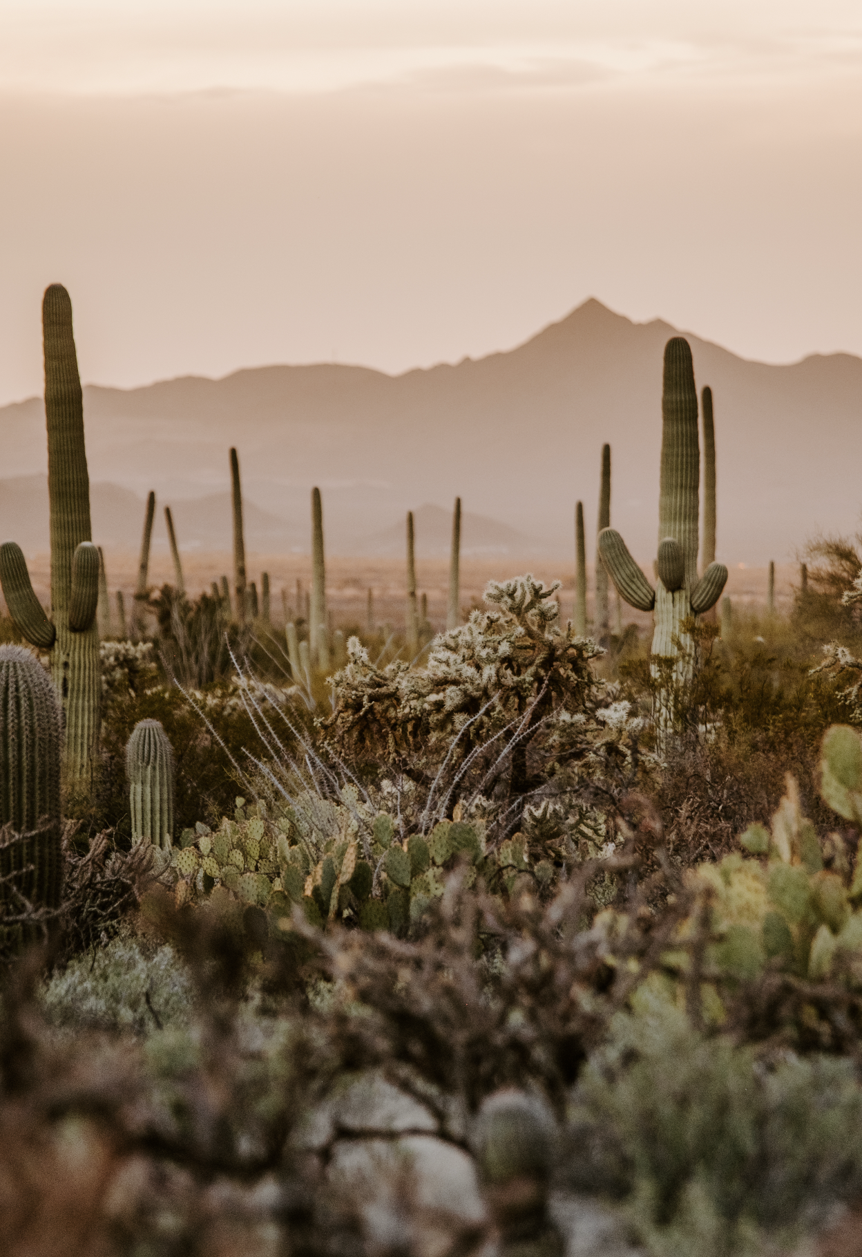 Screenshot 2026-02-25 at 9.53.09 AM.png