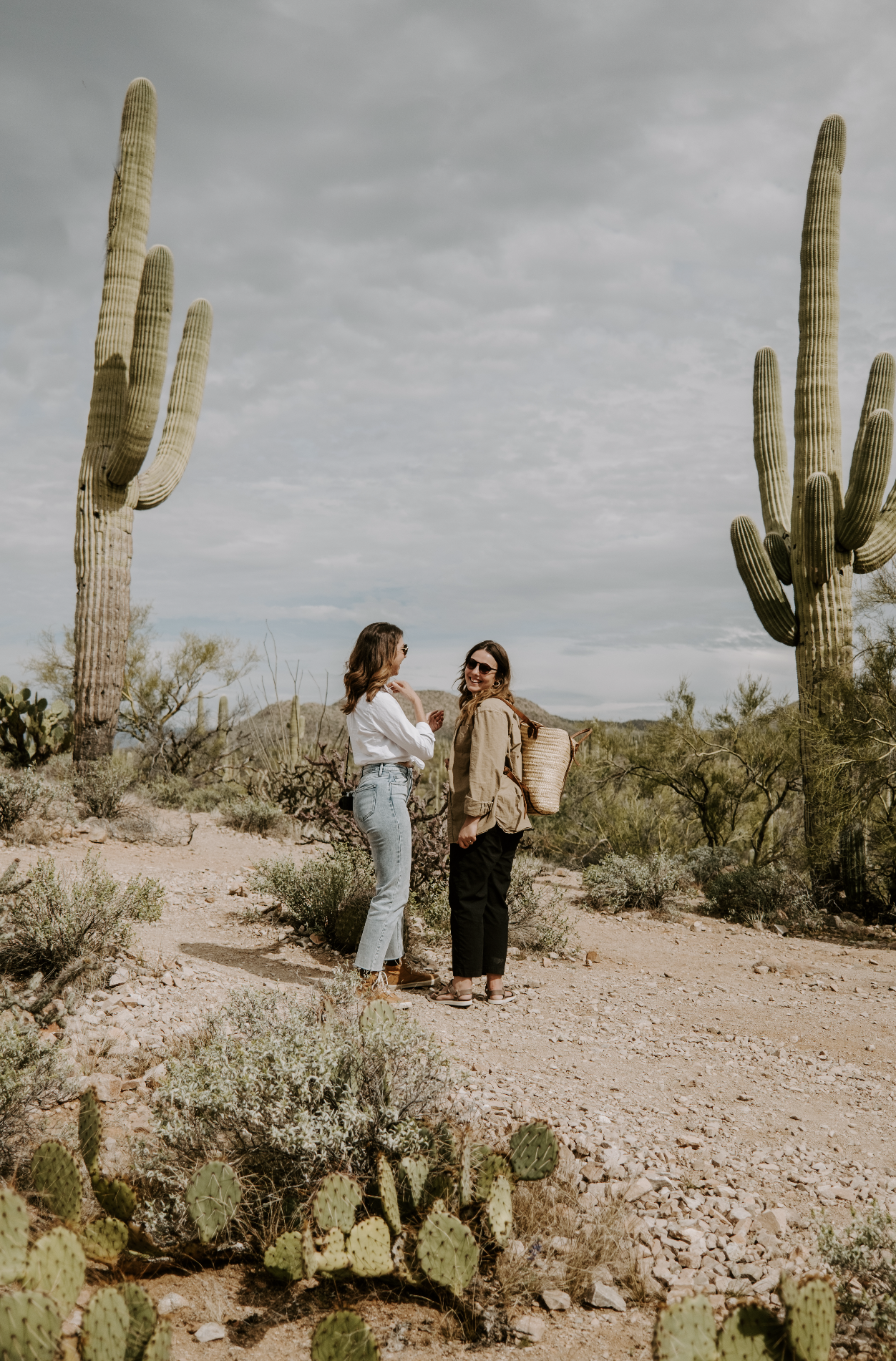 Screenshot 2026-02-25 at 10.08.33 AM.png