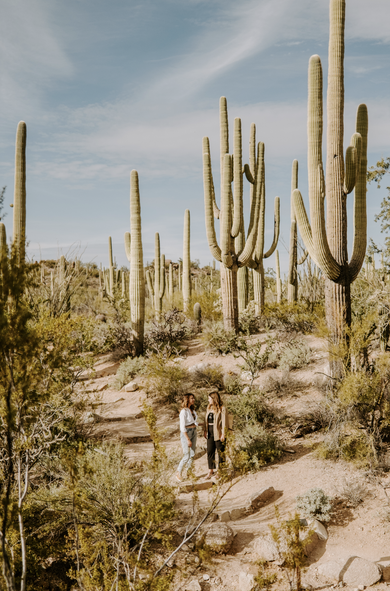 Screen Shot 2023-04-22 at 11.04.00 PM.png