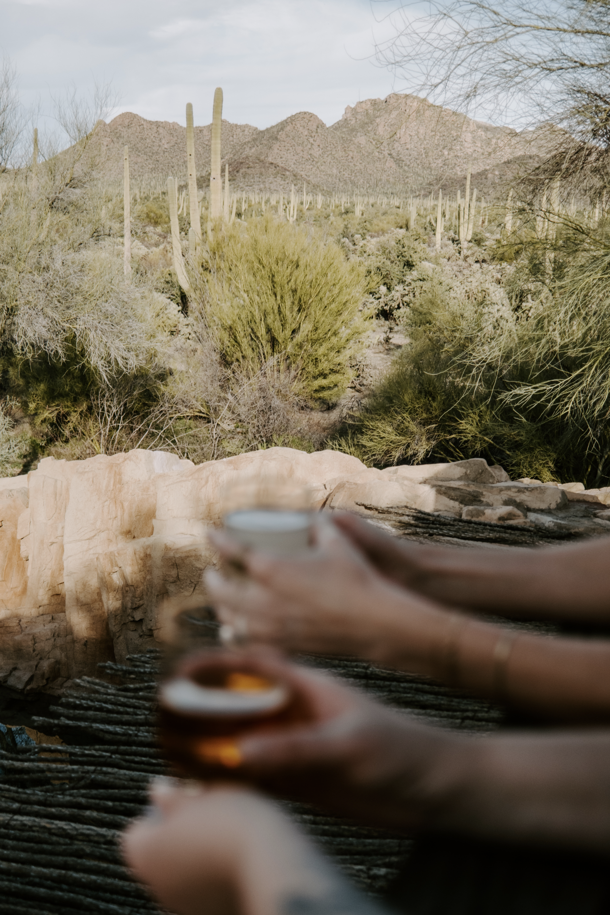 Screen Shot 2023-04-22 at 11.01.34 PM.png