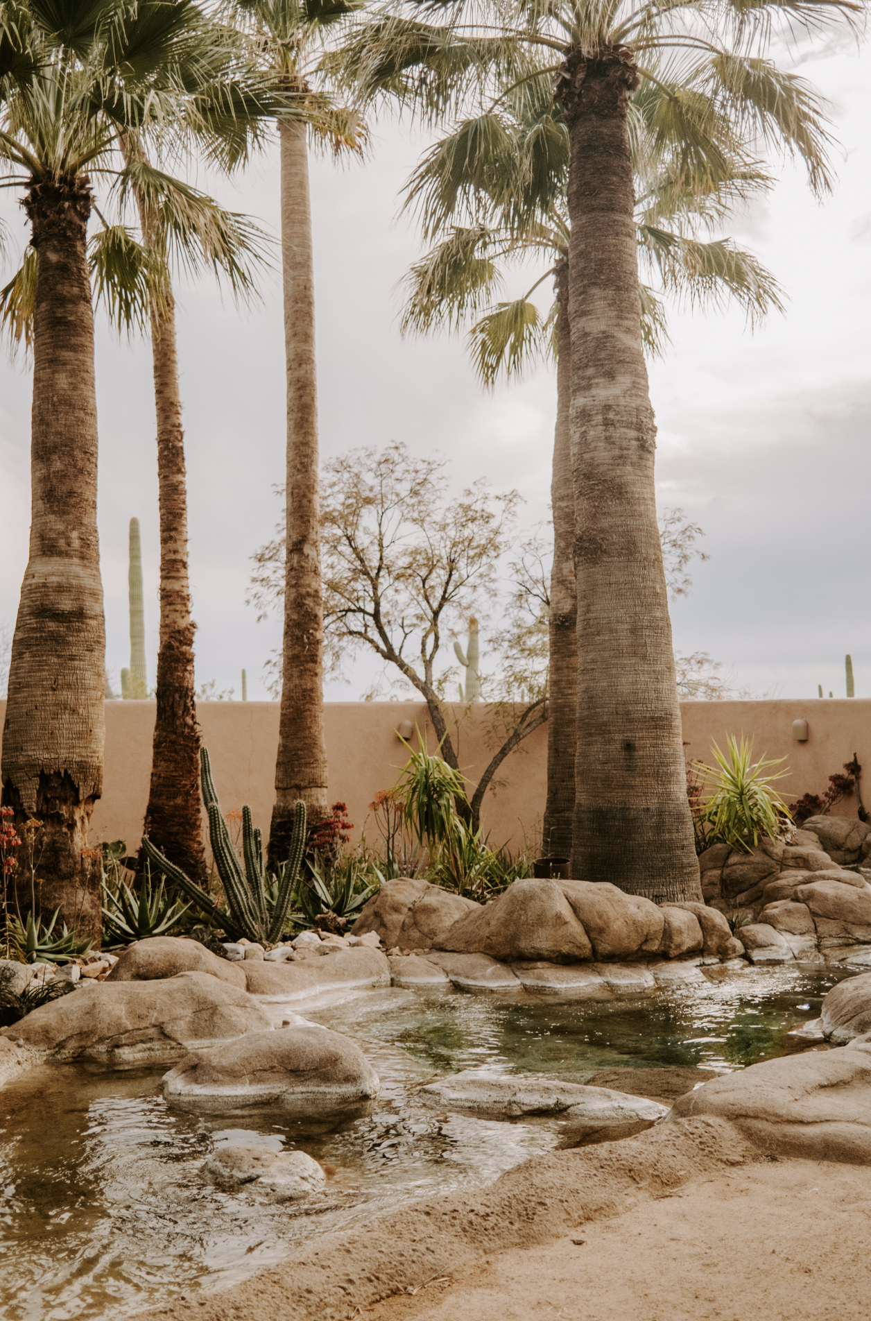 Screen Shot 2023-04-22 at 11.04.21 PM.png