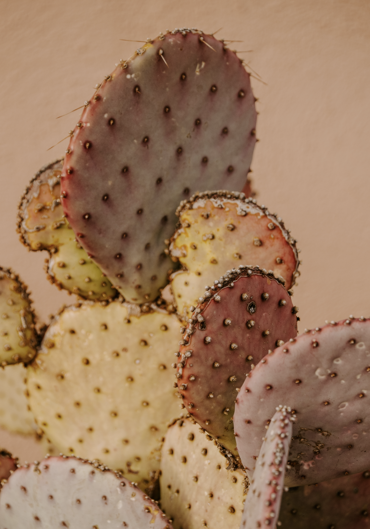 Screen Shot 2023-04-22 at 10.51.33 PM.png