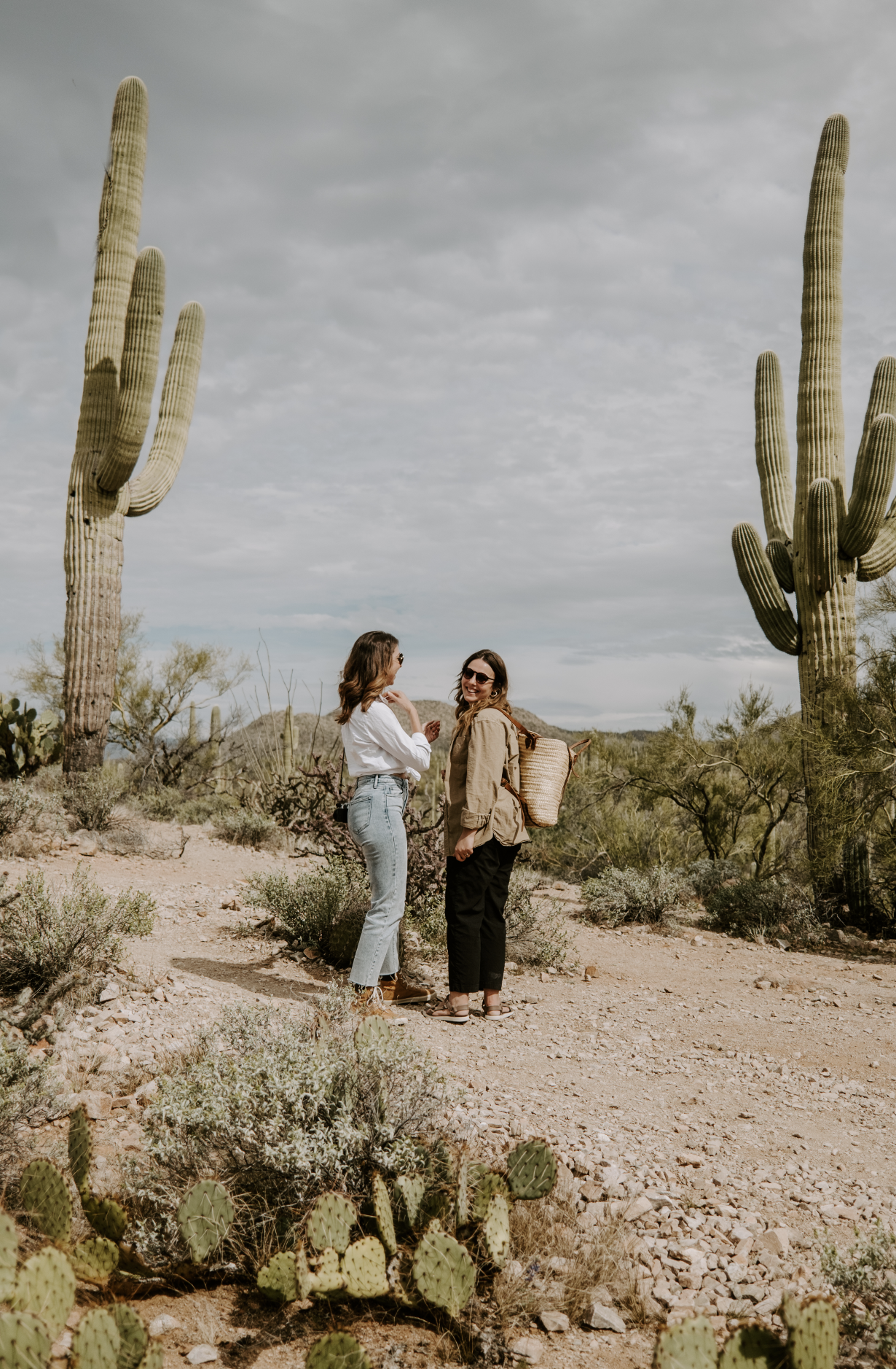 Screen Shot 2023-04-22 at 11.03.27 PM.png