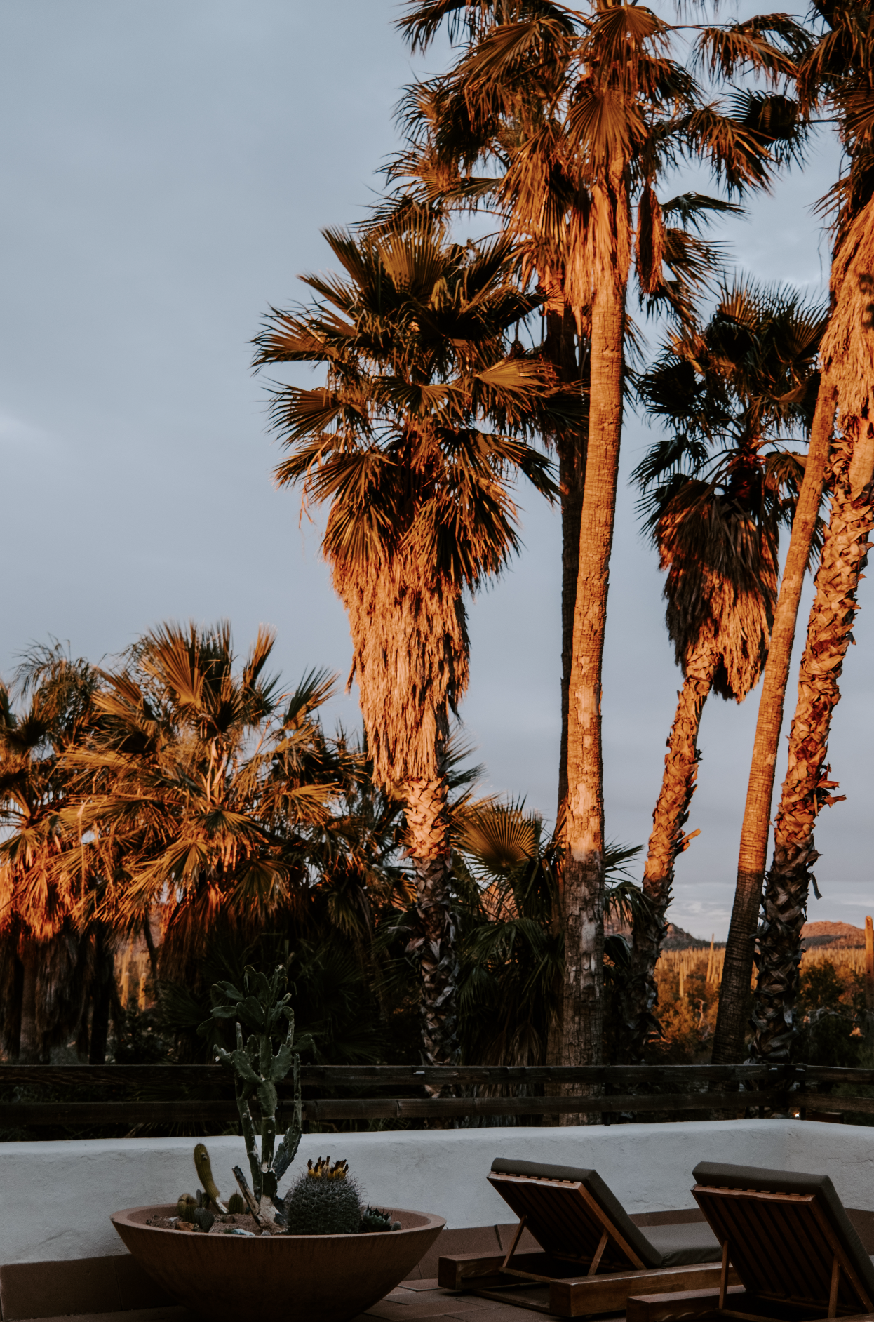 Screenshot 2026-02-25 at 10.13.07 AM.png