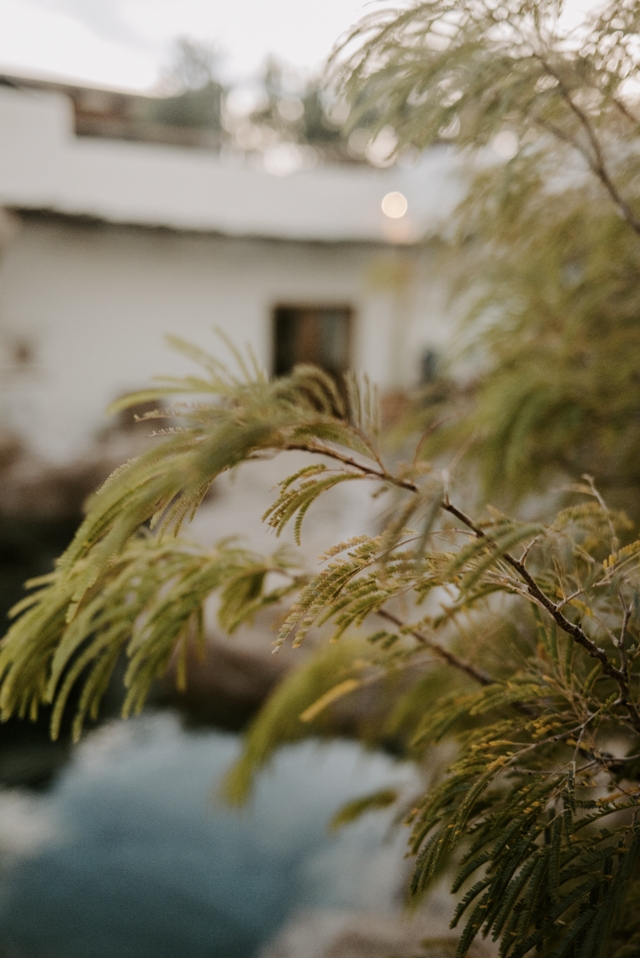 Screenshot 2026-02-25 at 10.06.14 AM.png