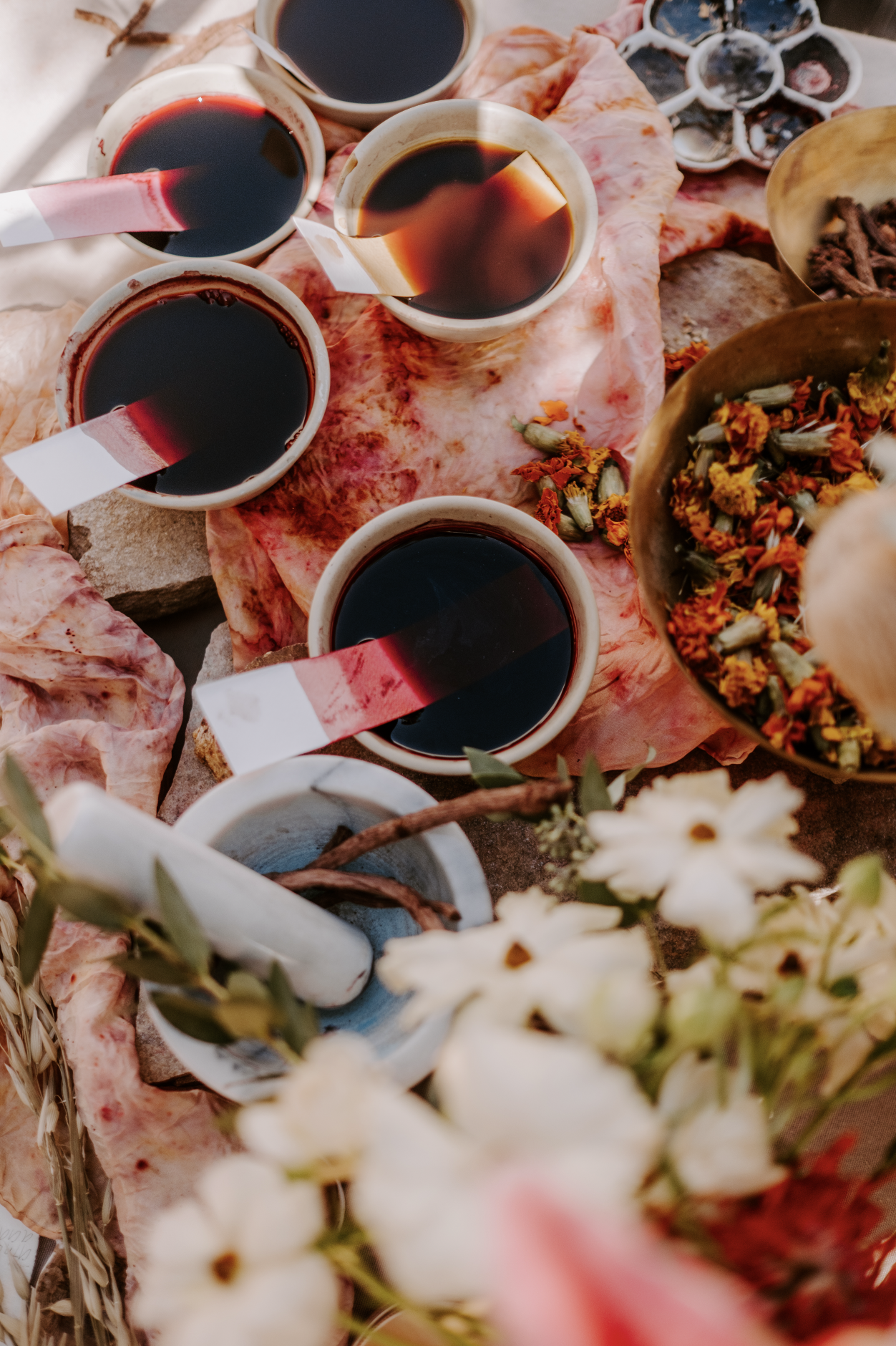 Screenshot 2026-02-24 at 3.53.14 PM.png