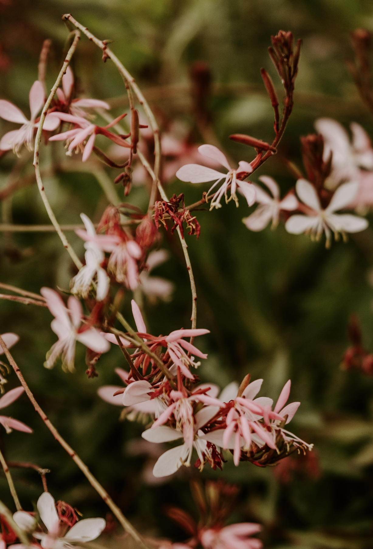 Screen Shot 2023-04-22 at 10.50.27 PM.png