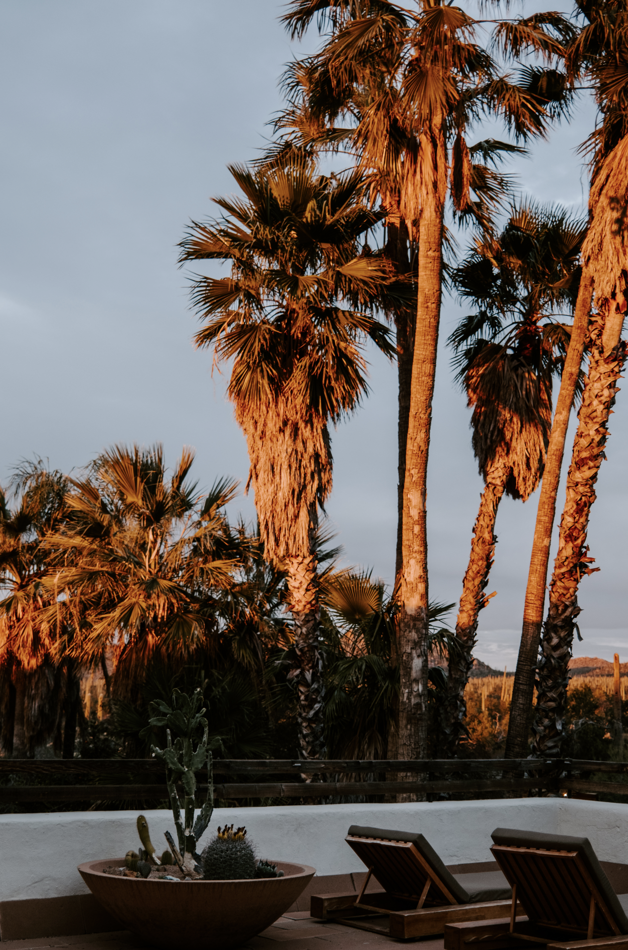 Screen Shot 2023-04-22 at 11.04.43 PM.png