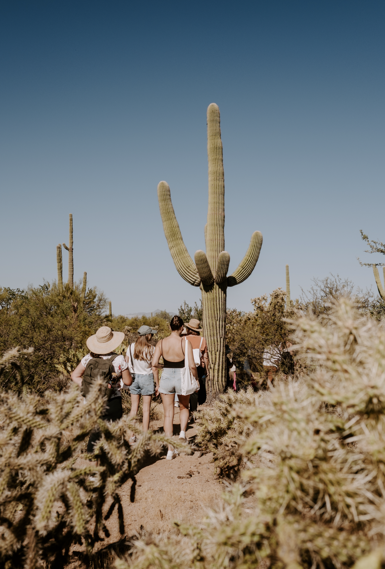 Screenshot 2026-02-25 at 10.42.06 AM.png