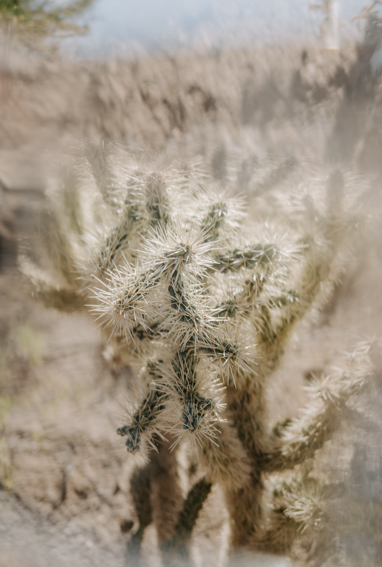 Screenshot 2026-02-25 at 10.36.55 AM.png