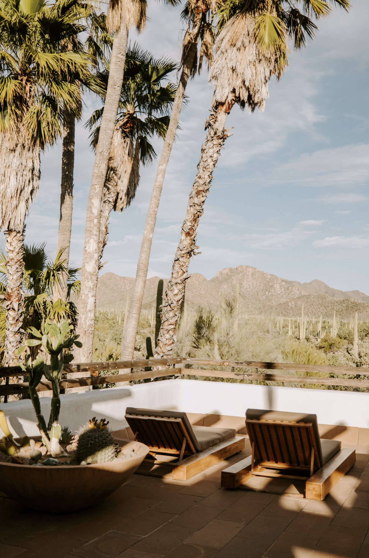 Screen Shot 2023-04-22 at 11.01.53 PM.png